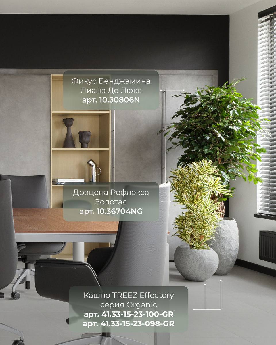 Кашпо и растения TREEZ Collection