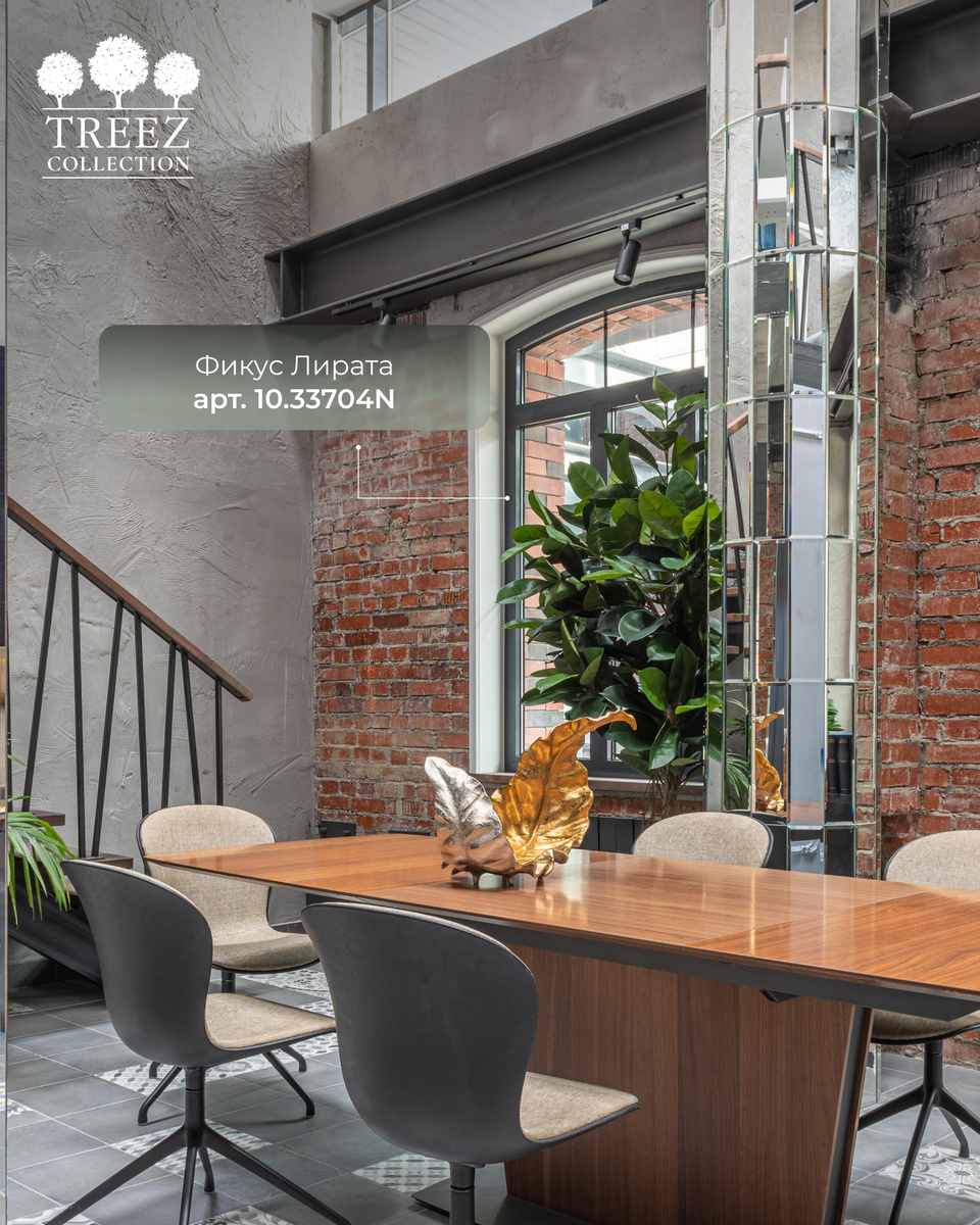 Кашпо и растения TREEZ Collection