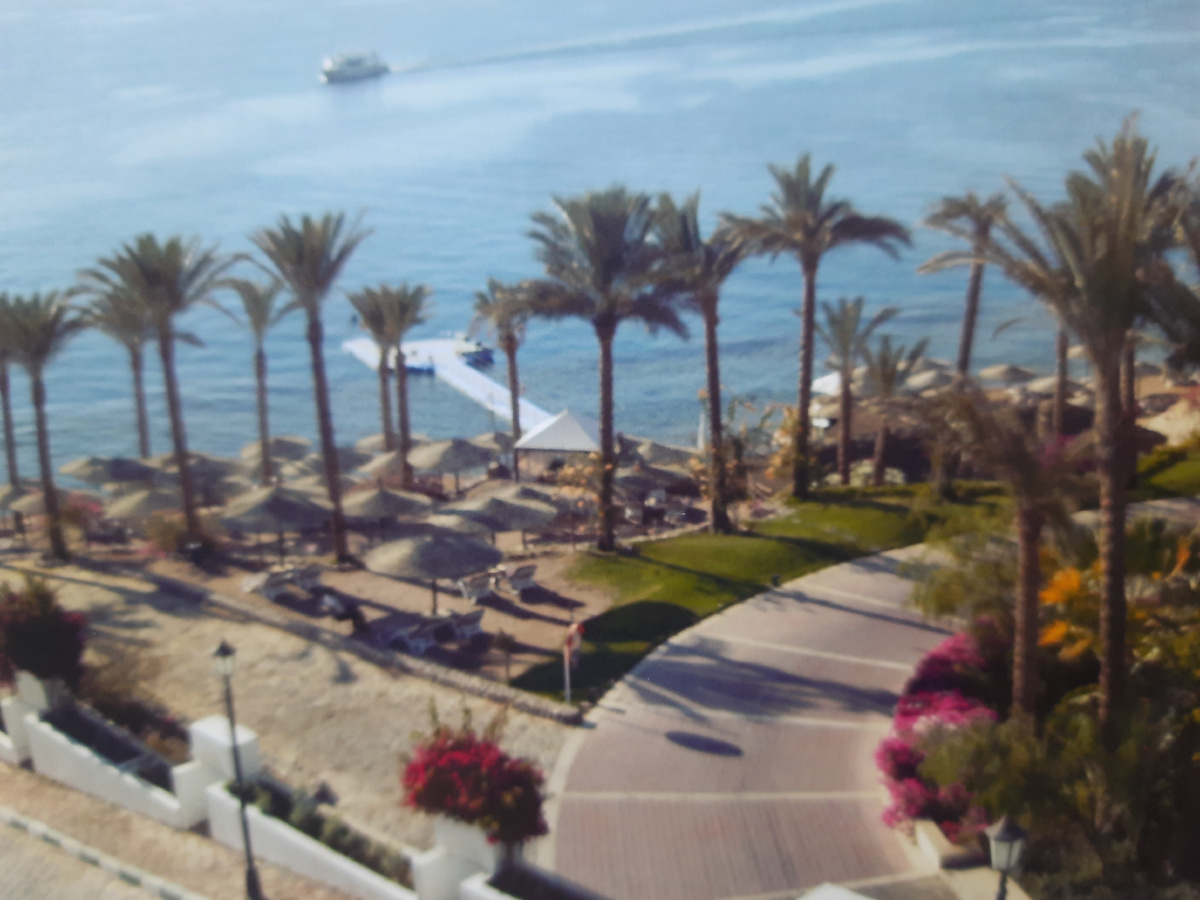 Вид из окна номера