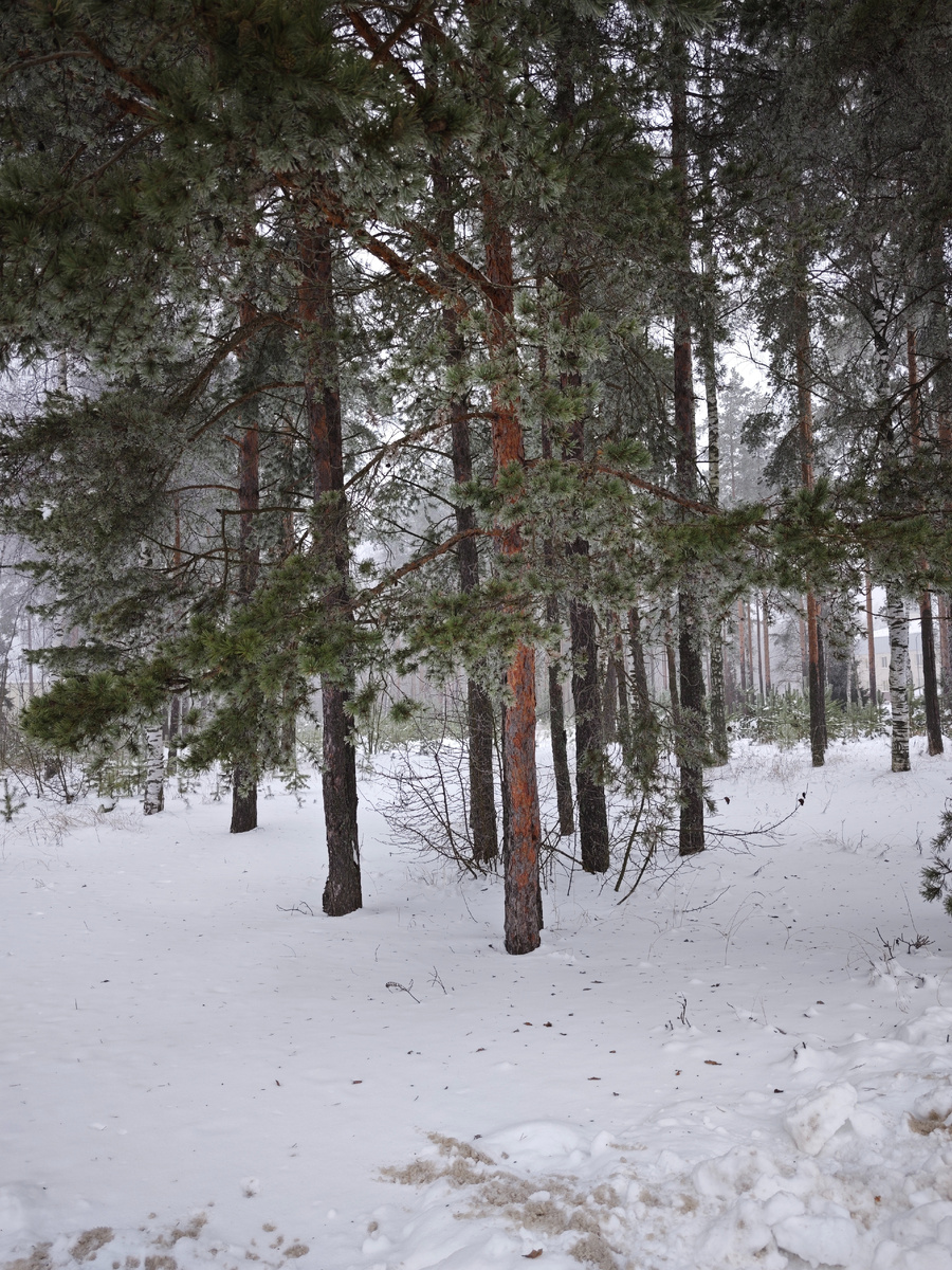 Сквер у Гранова 