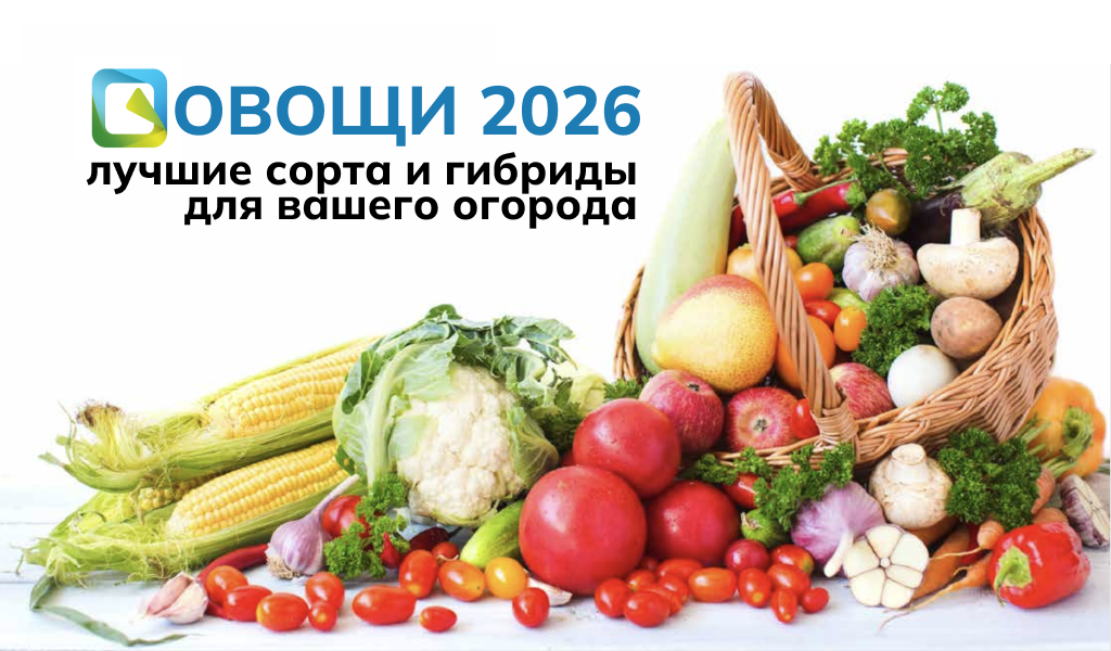 Что посадить в огороде? Полный список овощей и зелени 2026