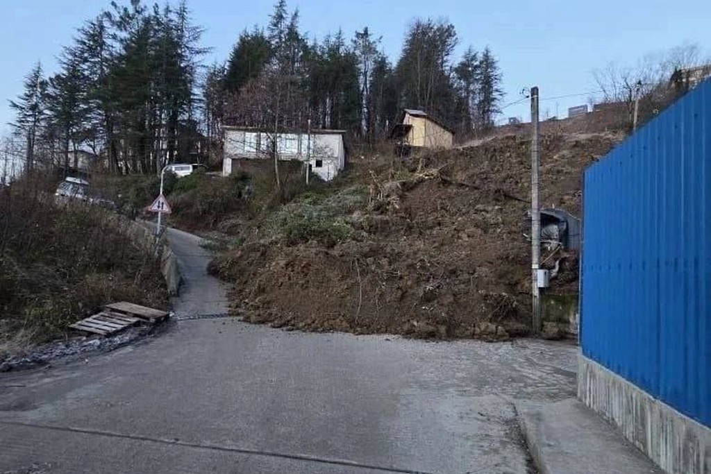    Фото © Telegram / chepsochi