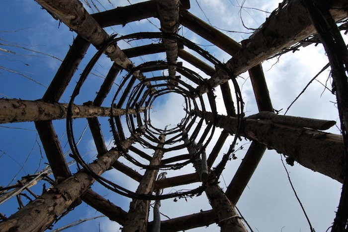 Каркас, который природа должна сама разрушить по замыслу Маури https://www.tripadvisor.ru/