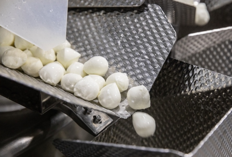 Экспорт молочной продукции превысил $500 млн