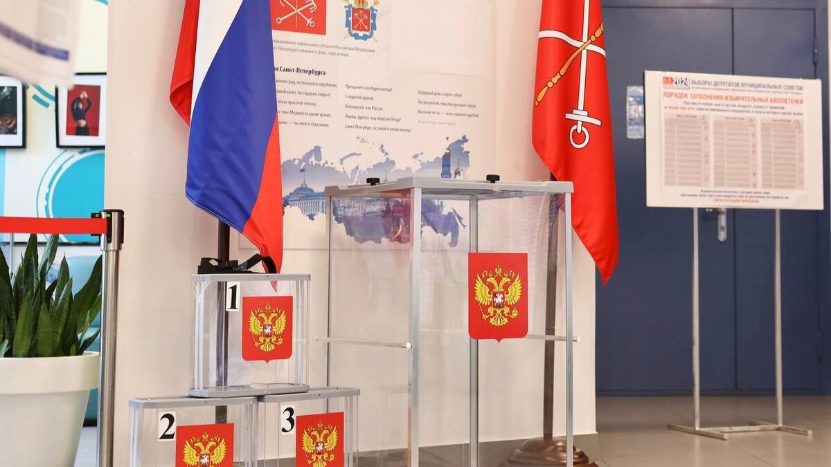   Telegram-канал Петербургской избирательной комиссии