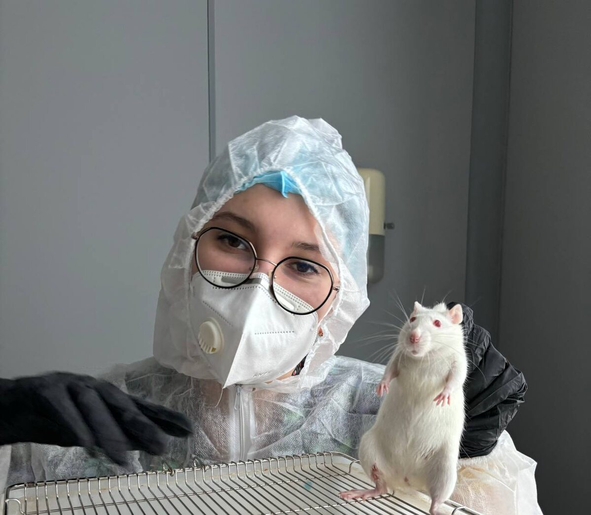Участник исследовательского коллектива Кира Кудря работает с лабораторным животным. Источник: Николай Тарлавин