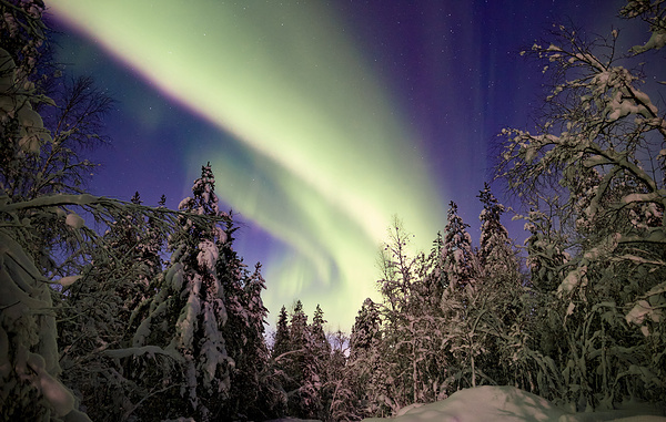 Иван Высочинский/ТАСС