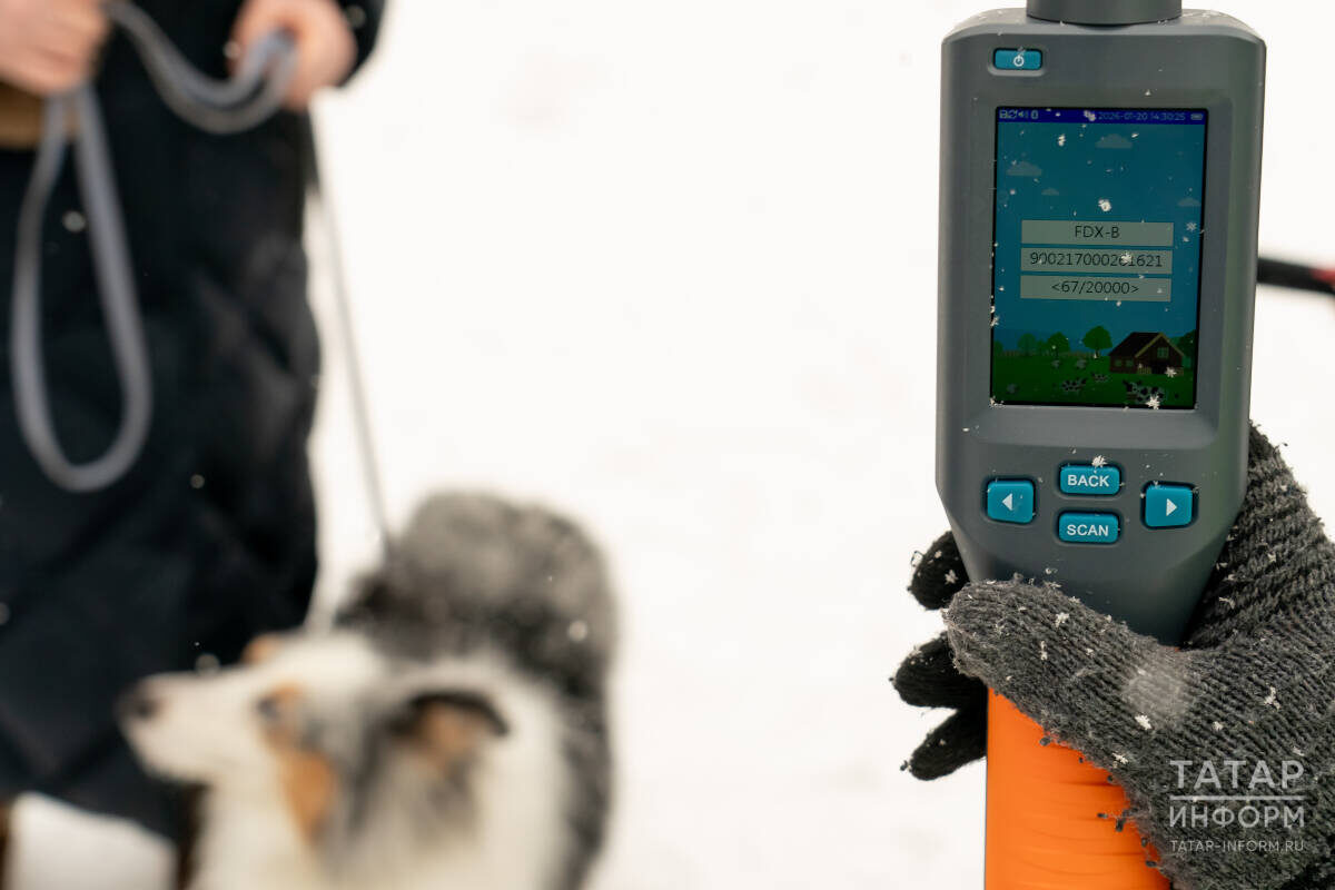 Фото: © Салават Камалетдинов / «Татар-информ»