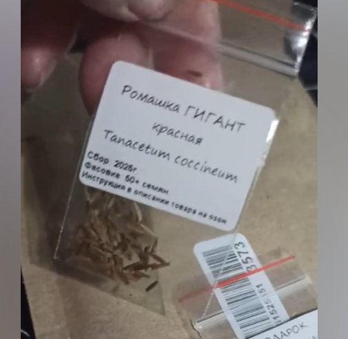 Фото из отзывов покупателей