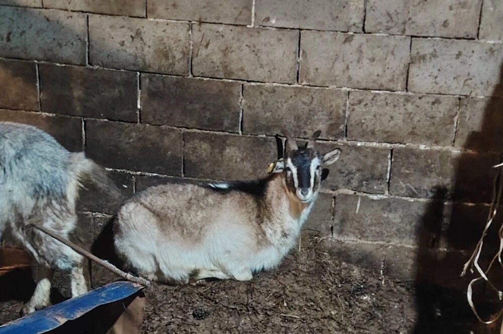    Фото: Инна Болучевская во «ВКонтакте»