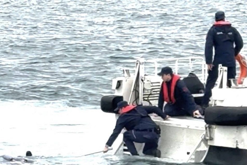    Фото © Telegram / 112