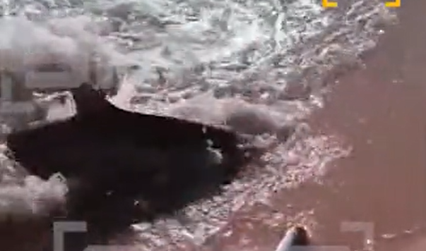 кадр из видео туристов, выложенного в Telegram-канале Shot