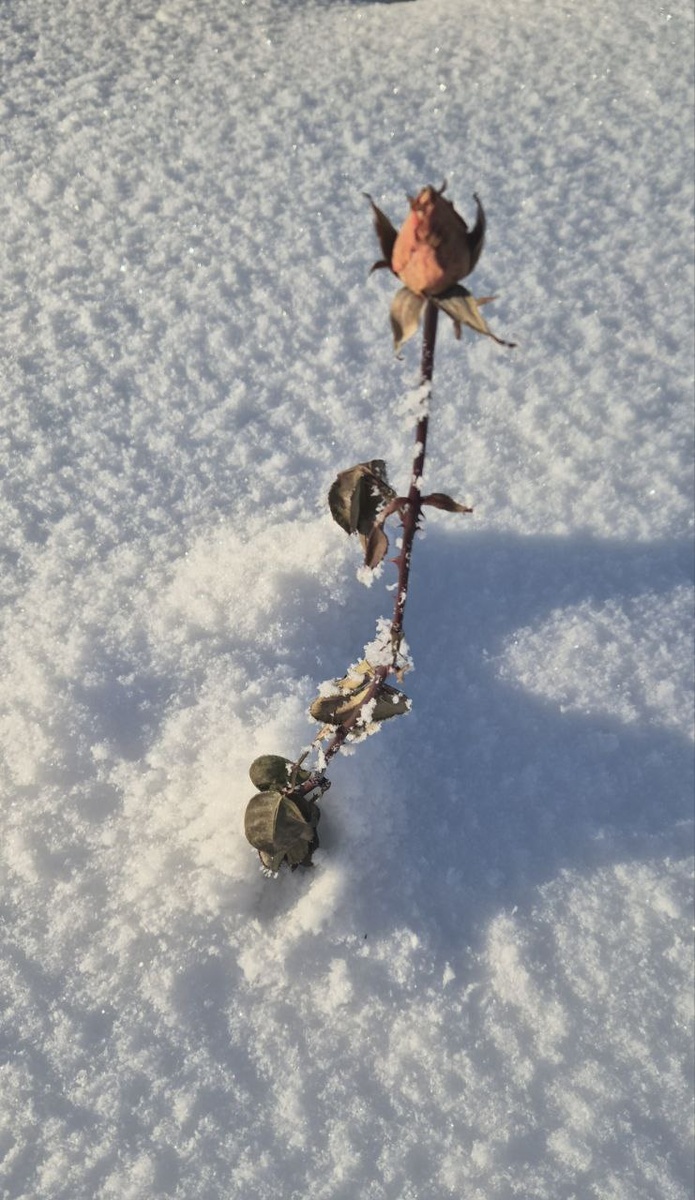 Из личного архива!