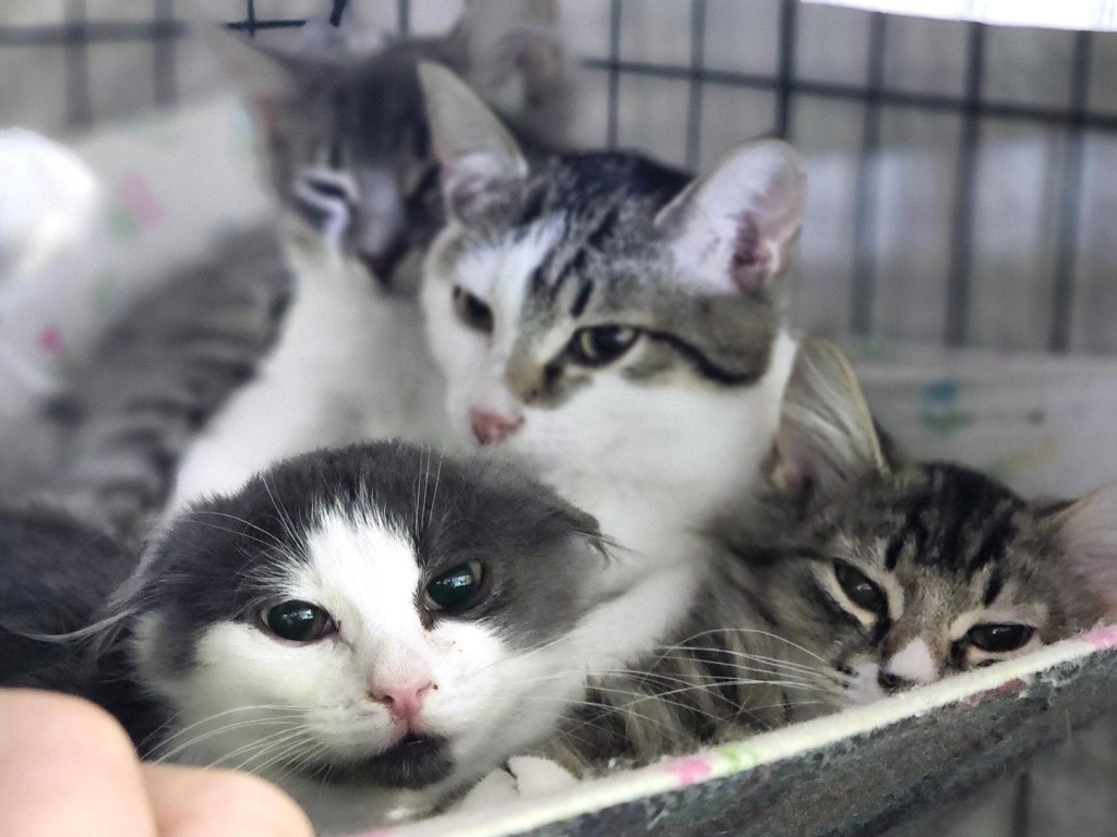    Фото: REGIONS/Полина Пахомова