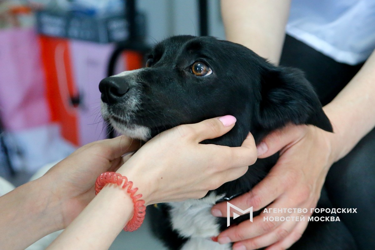 Фотограф: Сергей Ведяшкин