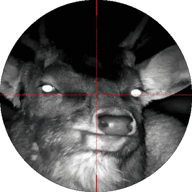 Уникальный круглый дисплей
Инновационный круглый дисплей прицела Veber Rapid без аберраций
Еще одна особенность линейки 
Veber Rapid связана с круглым дисплеем. Это не новая технология, но 
можно заметить, что подобный дисплей встречается очень редко. Опять же, 
визуально это воспринимается как окуляр оптического прицела, только без 
аберраций по краям, что еще раз говорит об удобстве использования в 
дневное время.
