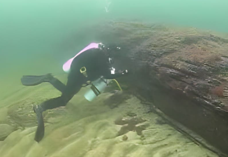 На дне топляк выглядит примерно так