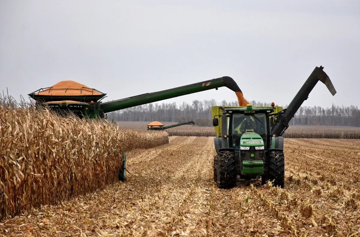    Фото: max.ru/pv_malkov