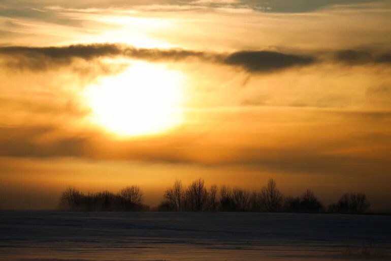    Фото: abn.agency