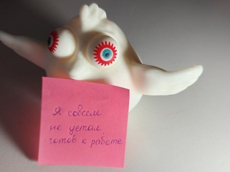     Этот показатель отражает устойчивый запрос в содействии при профессиональном самоопределении. Фото: архив МК в Питере.