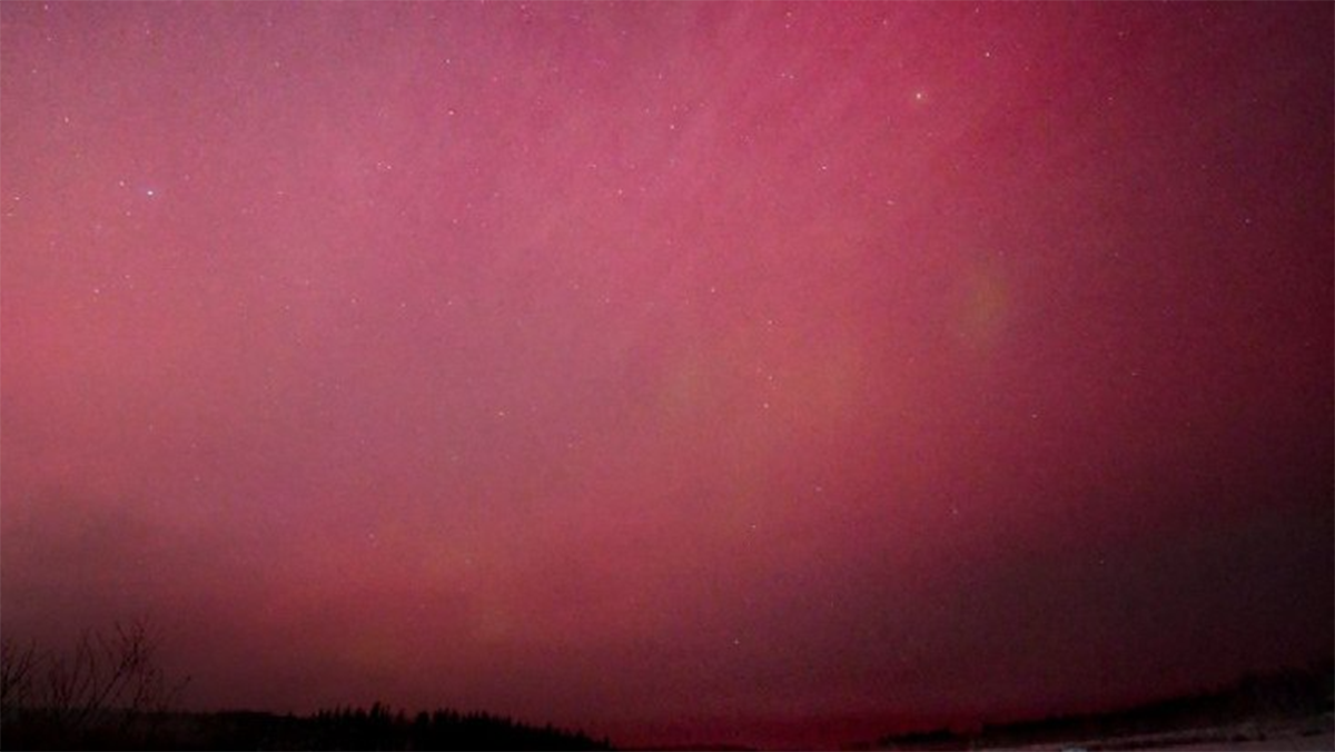    Фото: ООПТ Тунгусский