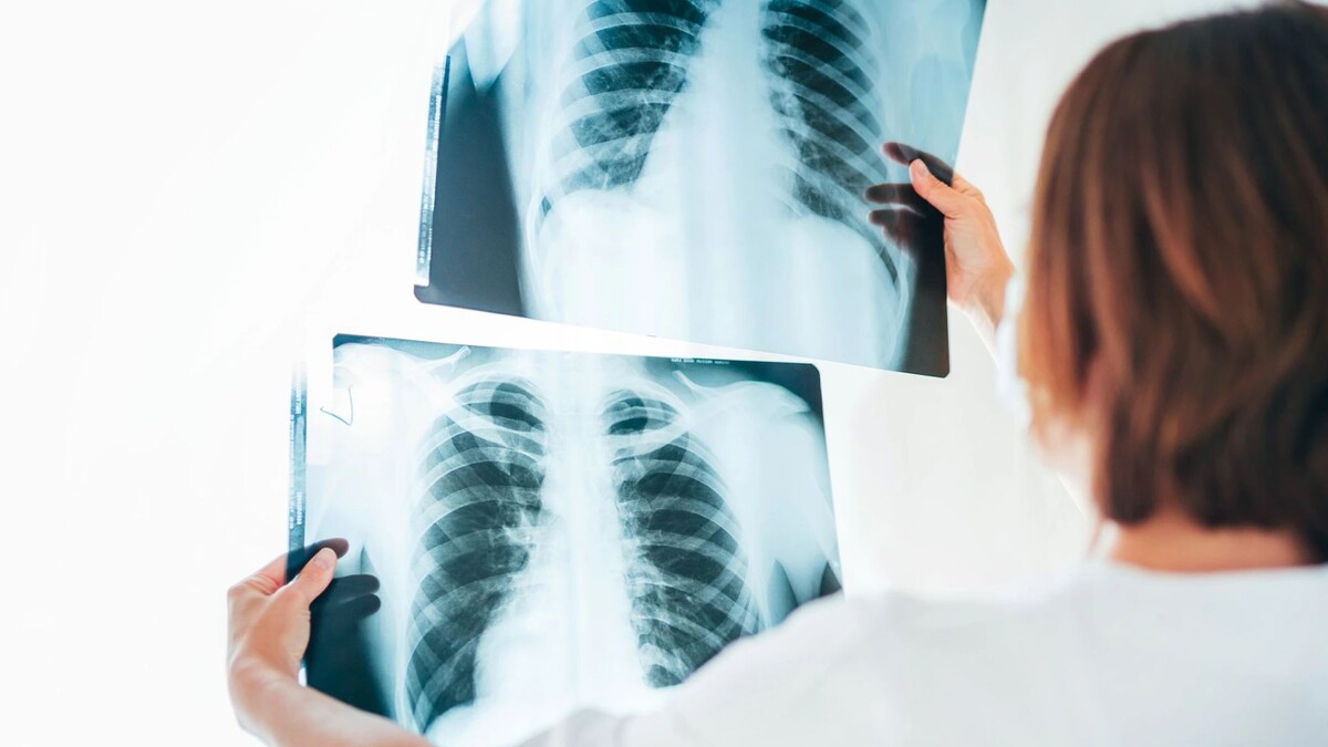    Фото: Soloviova Liudmyla/Shutterstock/Fotodom