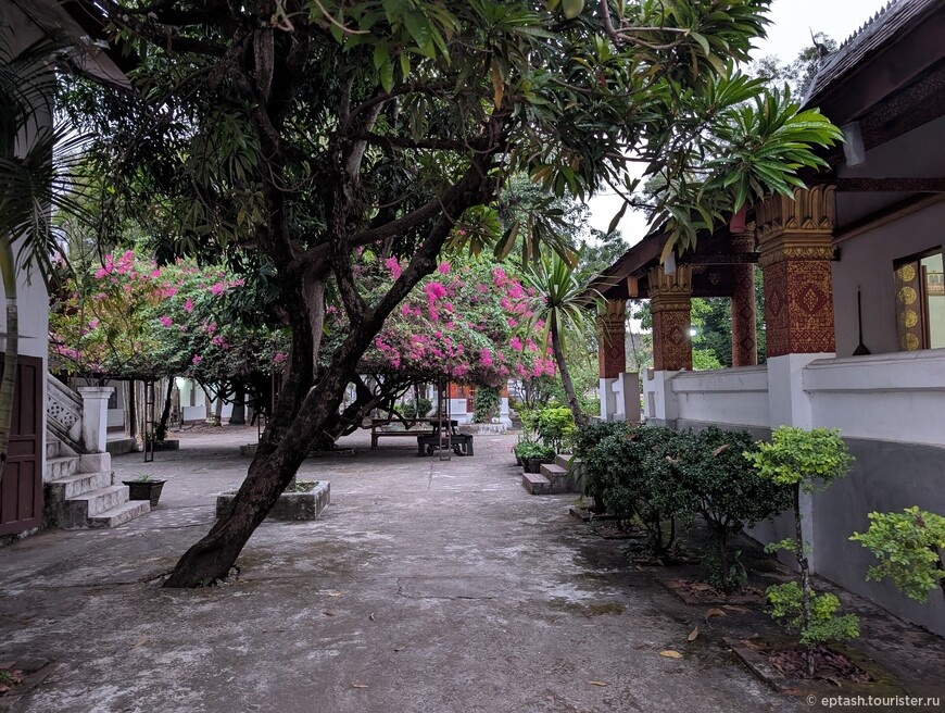 © Yelena Ptashinskaya