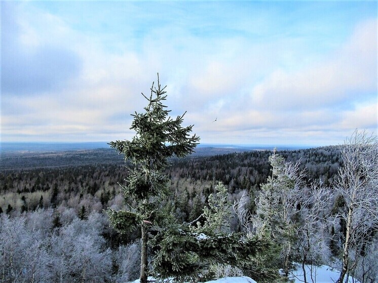     Свердловская область. Фото: Николай Курилов / Екатеринбург.
