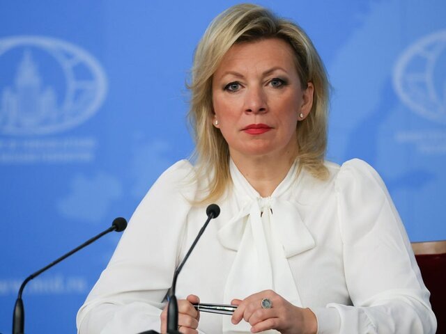    Фото: Агентство "Москва"/Дмитрий Белицкий