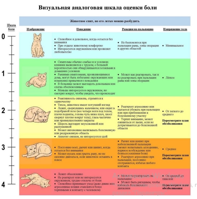 Картинка взята из Интернета