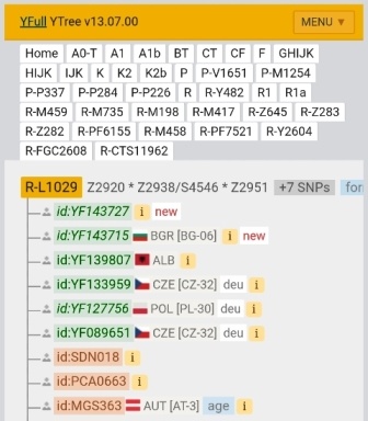 Венедская ветвь западнославянской линии R1a-Z545-M458