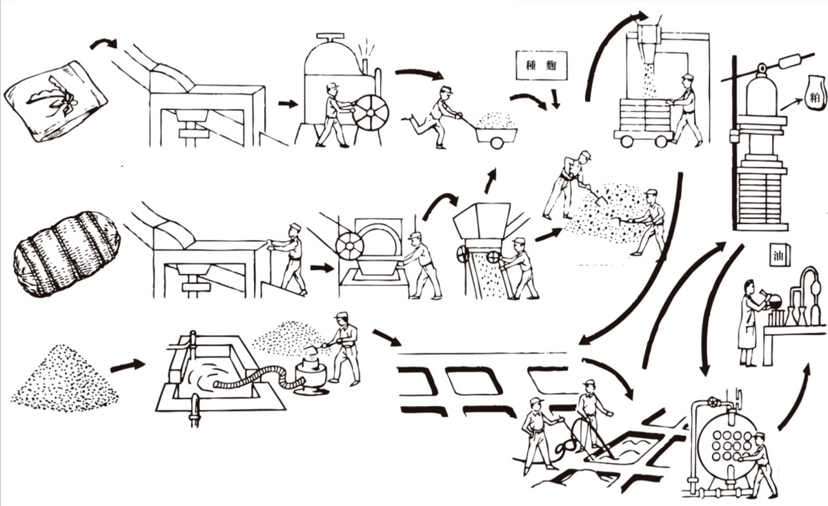 Многие думают, что знают соевый соус. Но в Японии его ароматы сравнивают с вином, а неправильное использование за столом может выдать незнание правил. Как готовят «правильный» соус, зачем ему нужно 300 дней и как не оскорбить повара, макая суши? Разбираемся в главном соке японской кухни.