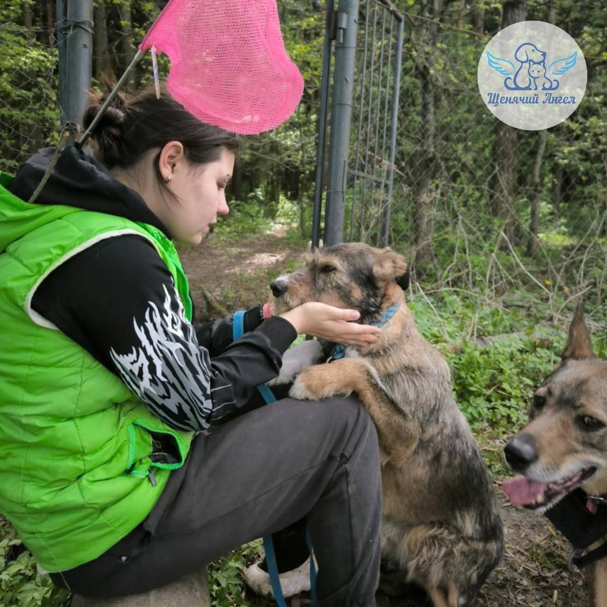 Наши подопечные на занятиях с кинологом