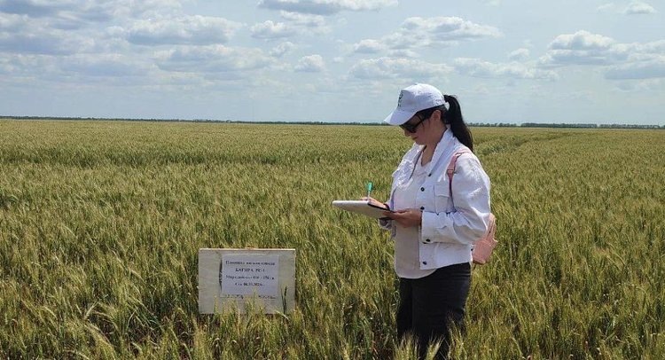    Фото: ФГБУ ЦОК АПК