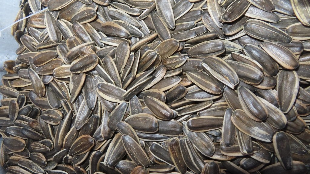    Фото: Уральское таможенное управление