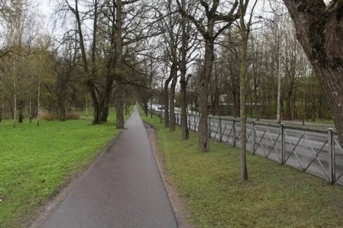    В Пушкине часть Павловского шоссе получила статус памятника культуры