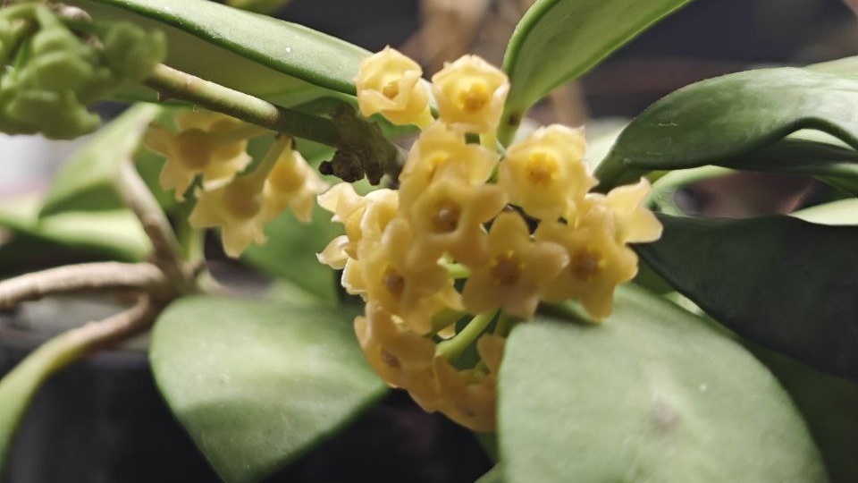 Уже хочется солнышко