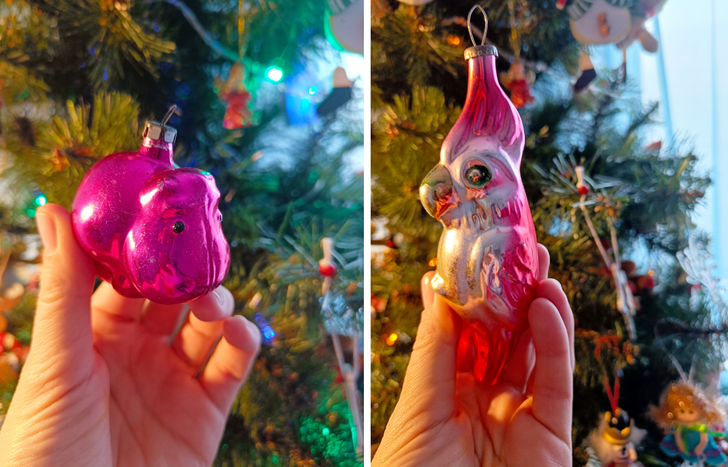 Фото автора Зоны Комфорта