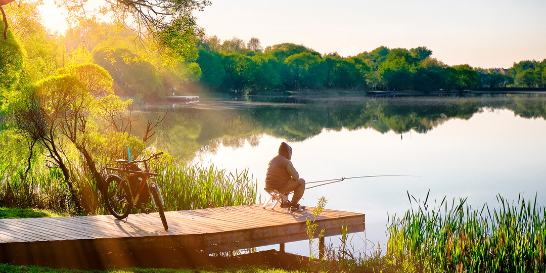 Почему на одном и том же месте сегодня клюёт, а завтра — нет