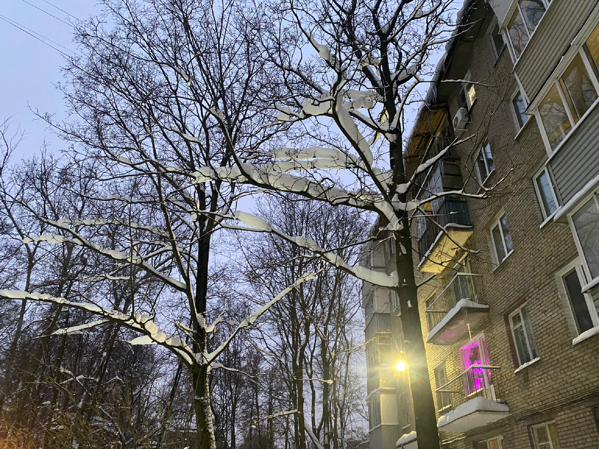 Под крышей дома моего