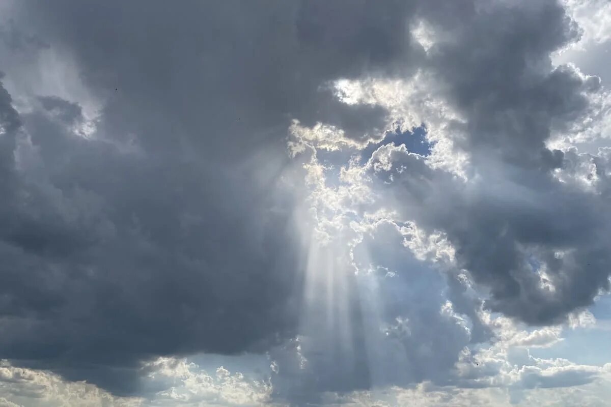 Фото: UfacityNews.ru