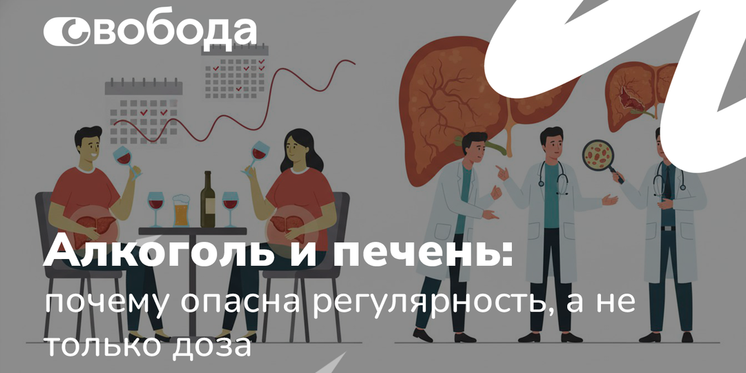 Алкоголь и печень: почему опасна регулярность, а не только доза