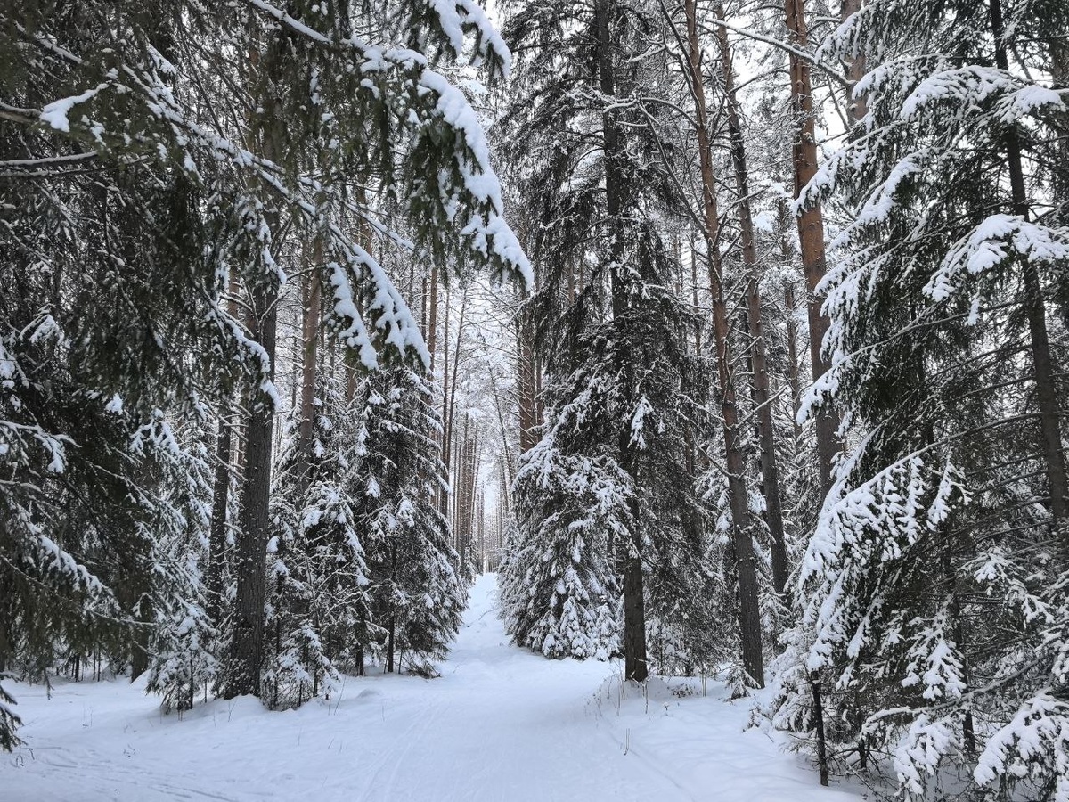 Спутники позволяют контролировать широкий спектр нарушений.  Фото: ФедералПресс / Ксения Кобалия