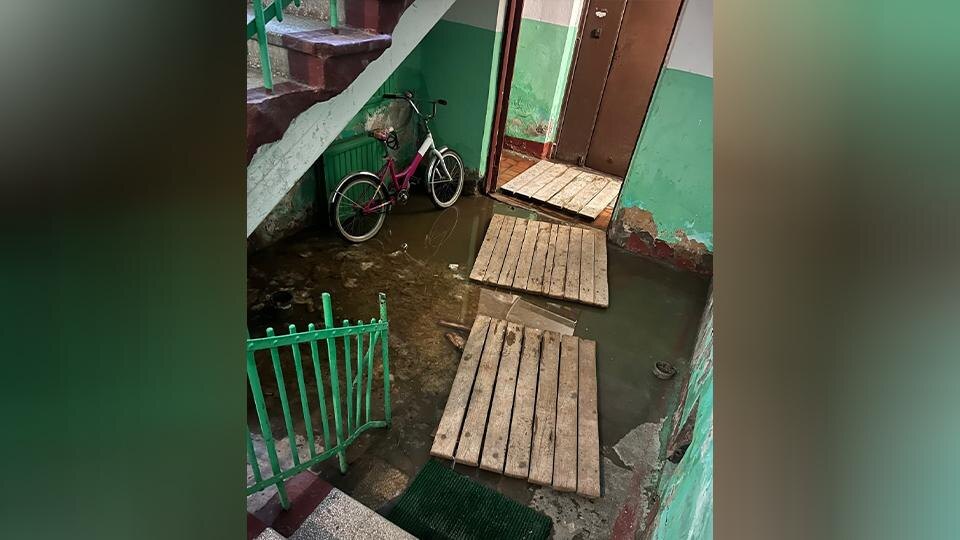 Подъезд жилого дома в Кронштадте заливает фекалиями