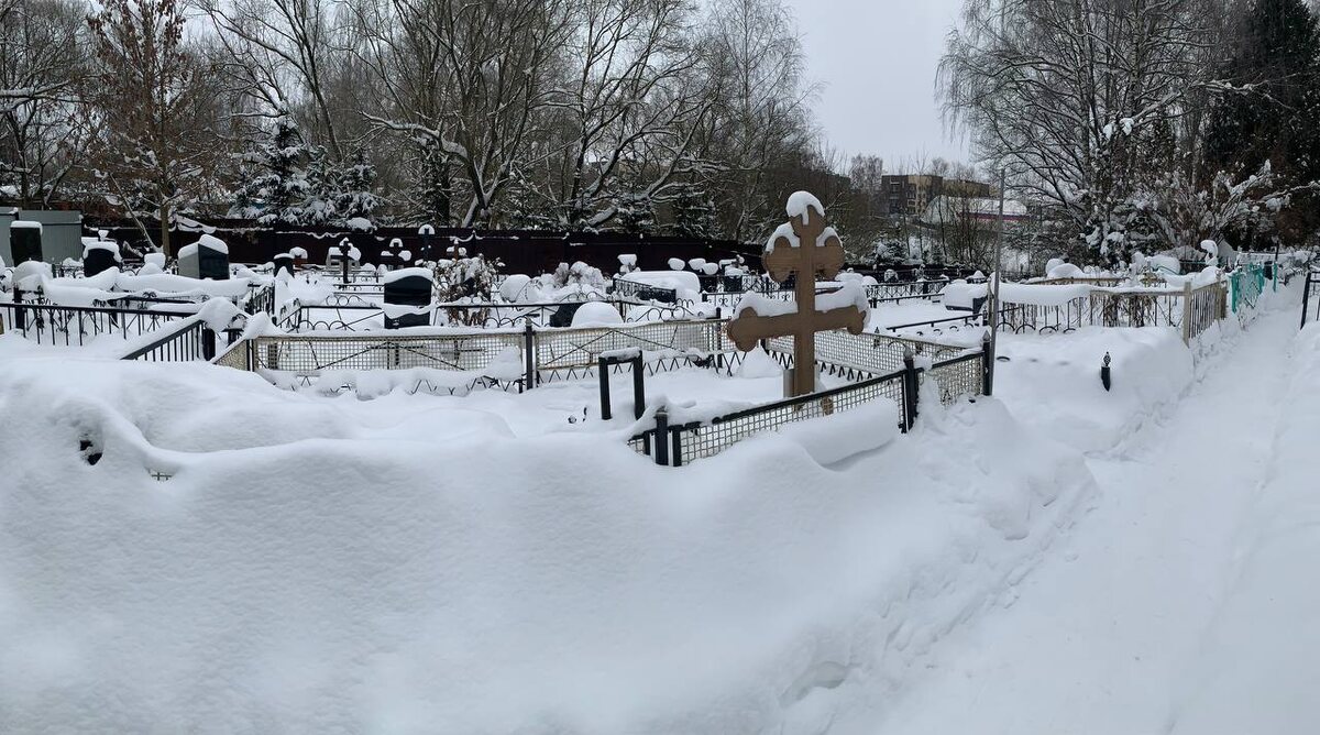 Жабкинское кладбище — некрополь Ленинского района Московской области