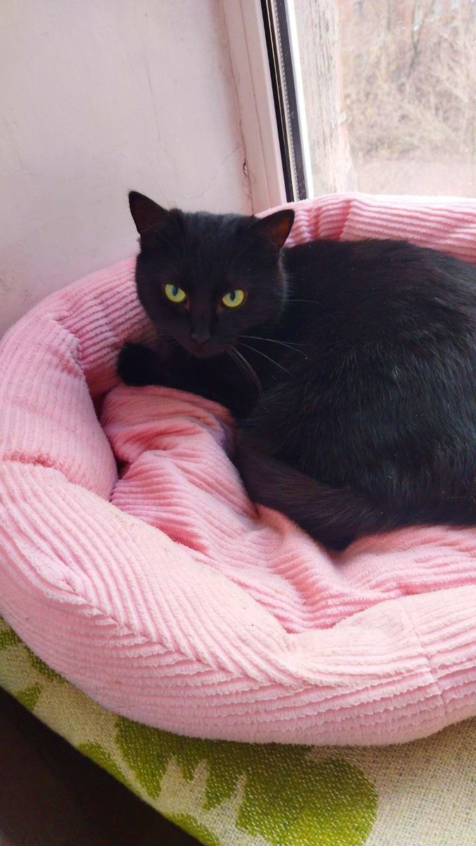 Луиза ищет мам и пап....