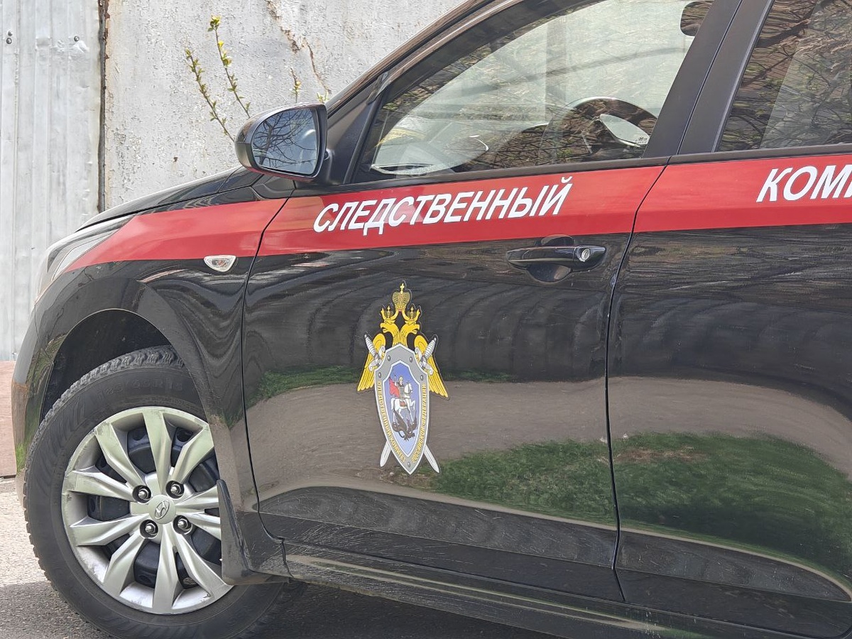    Фото: Юрий Серебренников/BFM Кубань