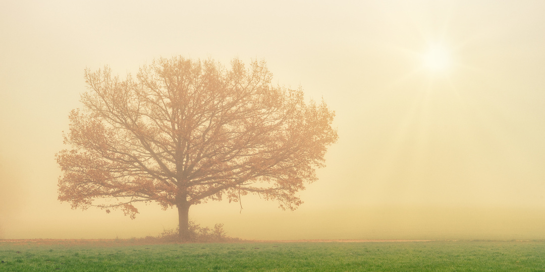 Здоровье и долголетие — это искусство вовремя подстраиваться под ритм Вселенной.