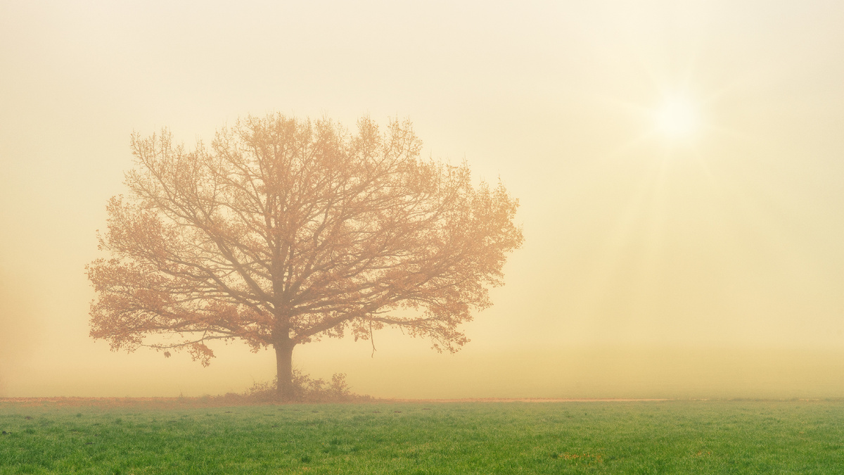 Изображение взято с Freepik