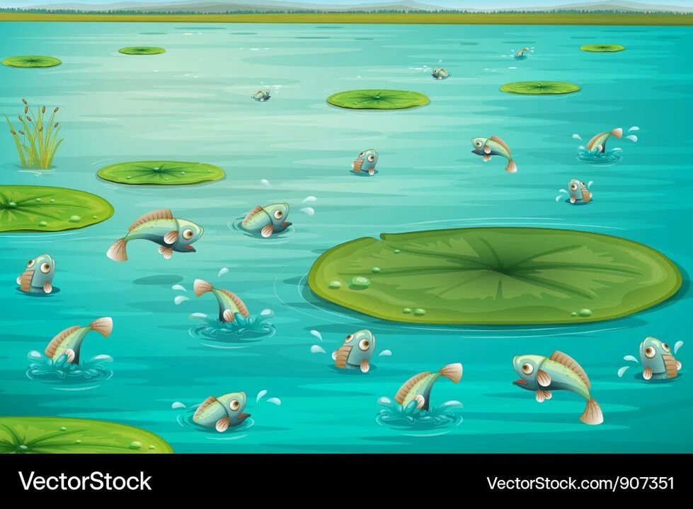 Фото из интернета 